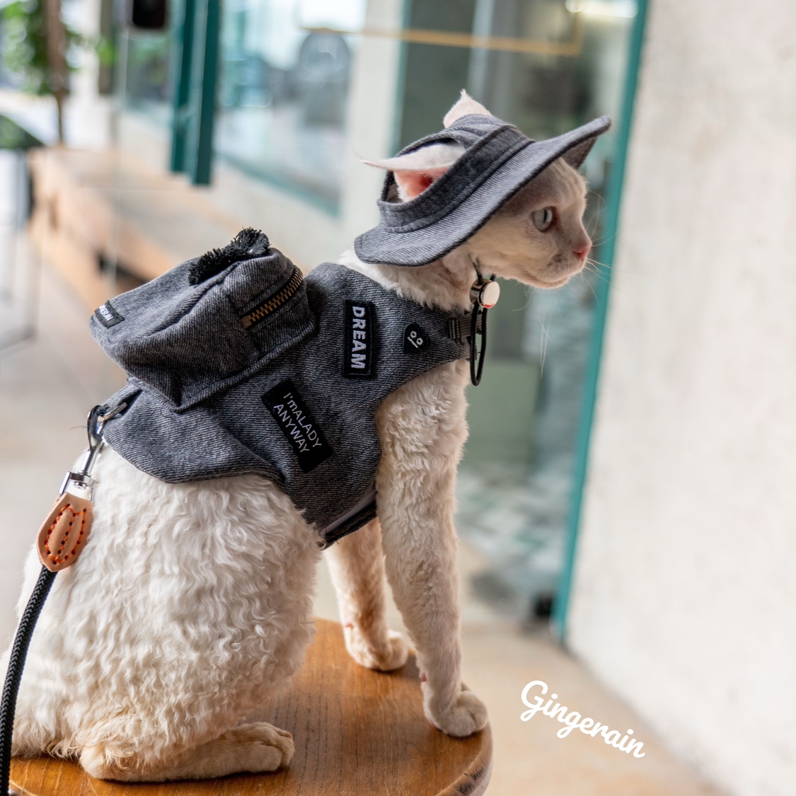 Handmade Travel Cat Carrier, B - Luxury Bags Cute avaliação e preço