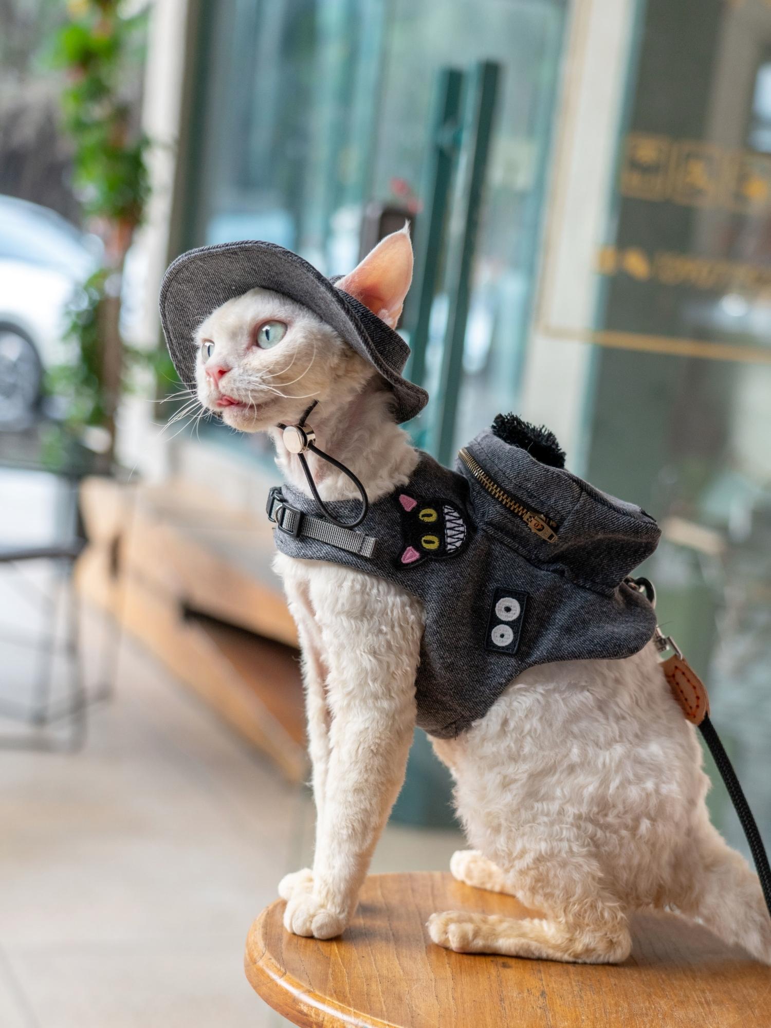 Handmade Travel Cat Carrier, B - Luxury Bags Cute avaliação e preço