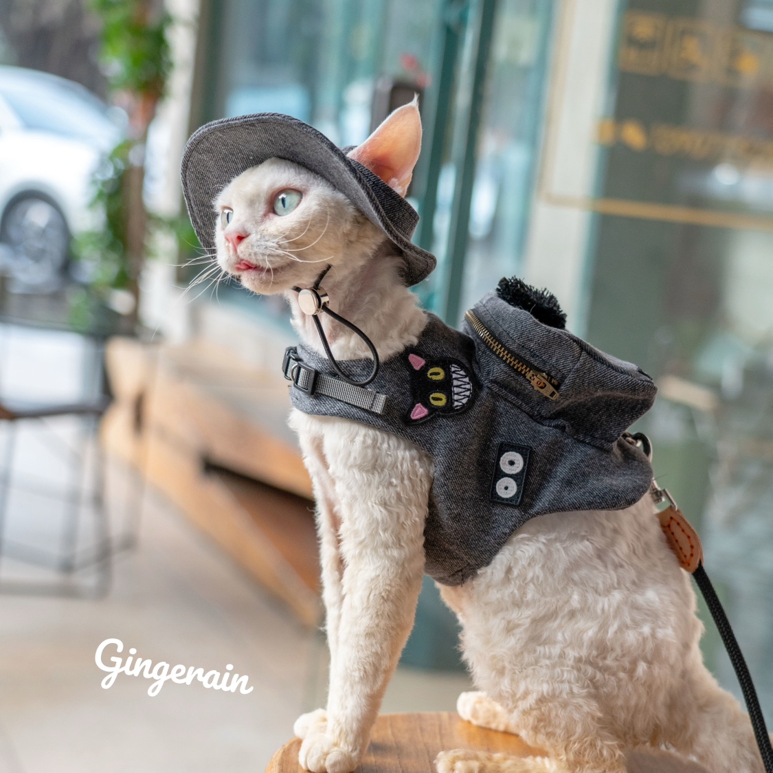 Handmade Travel Cat Carrier, B - Luxury Bags Cute avaliação e preço
