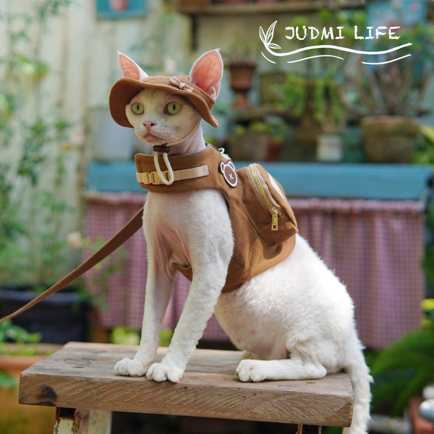 Viagem de luxo devon gato tran - Luxury Bags Cute avaliação e preço